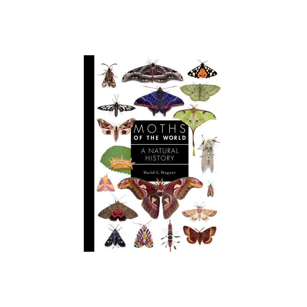 Princeton University Press Moths of the World (inbunden, eng)