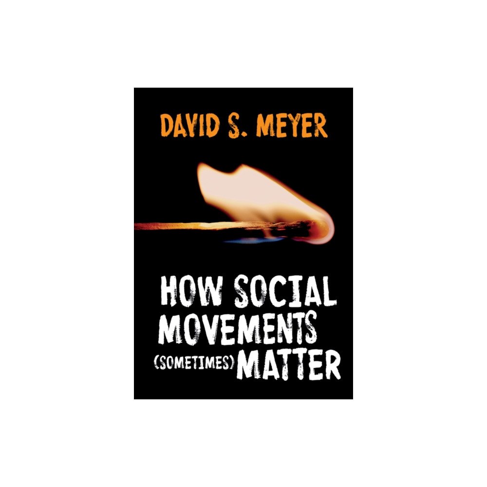 John Wiley And Sons Ltd How Social Movements (Sometimes) Matter (häftad, eng)