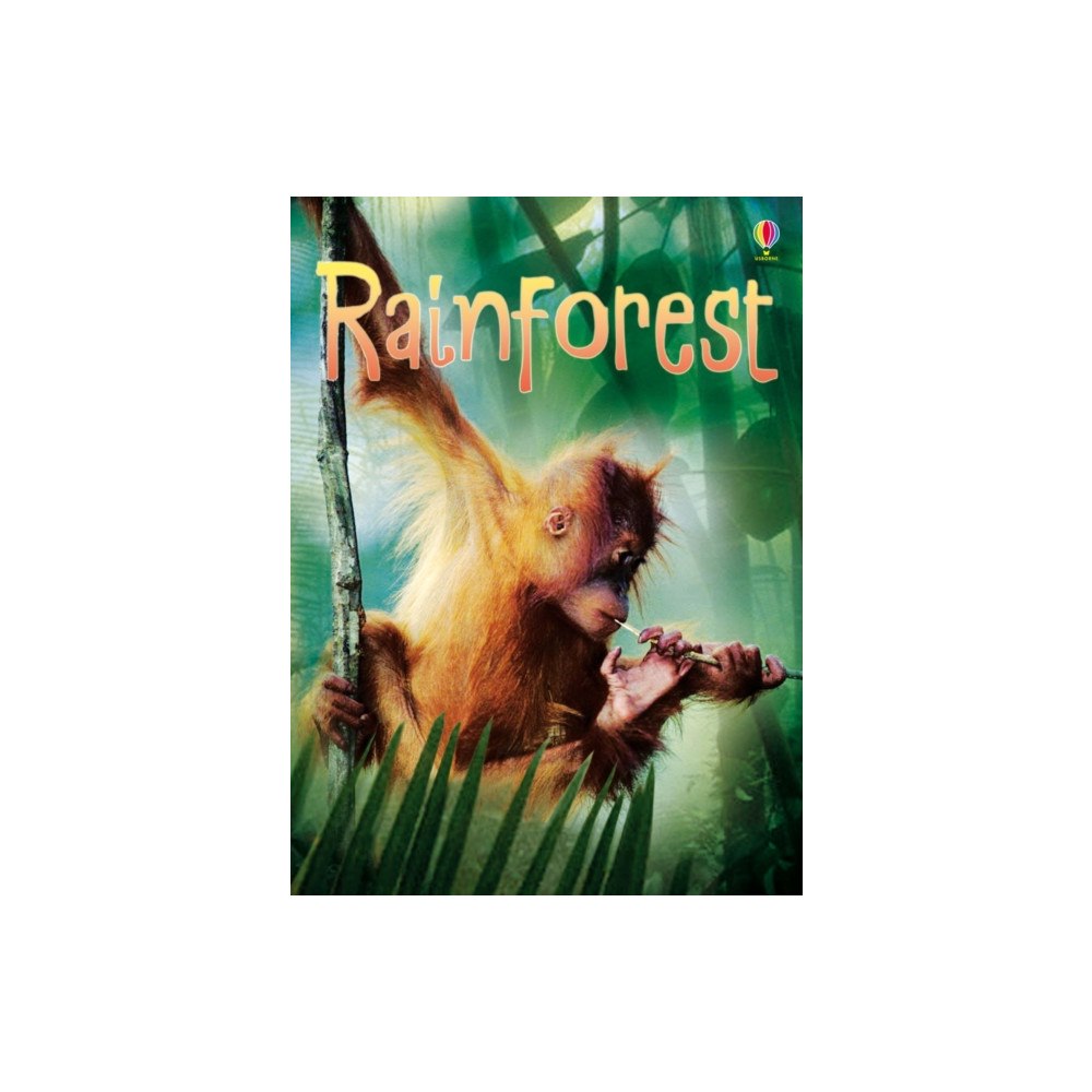 Usborne Publishing Ltd Rainforests (inbunden, eng)