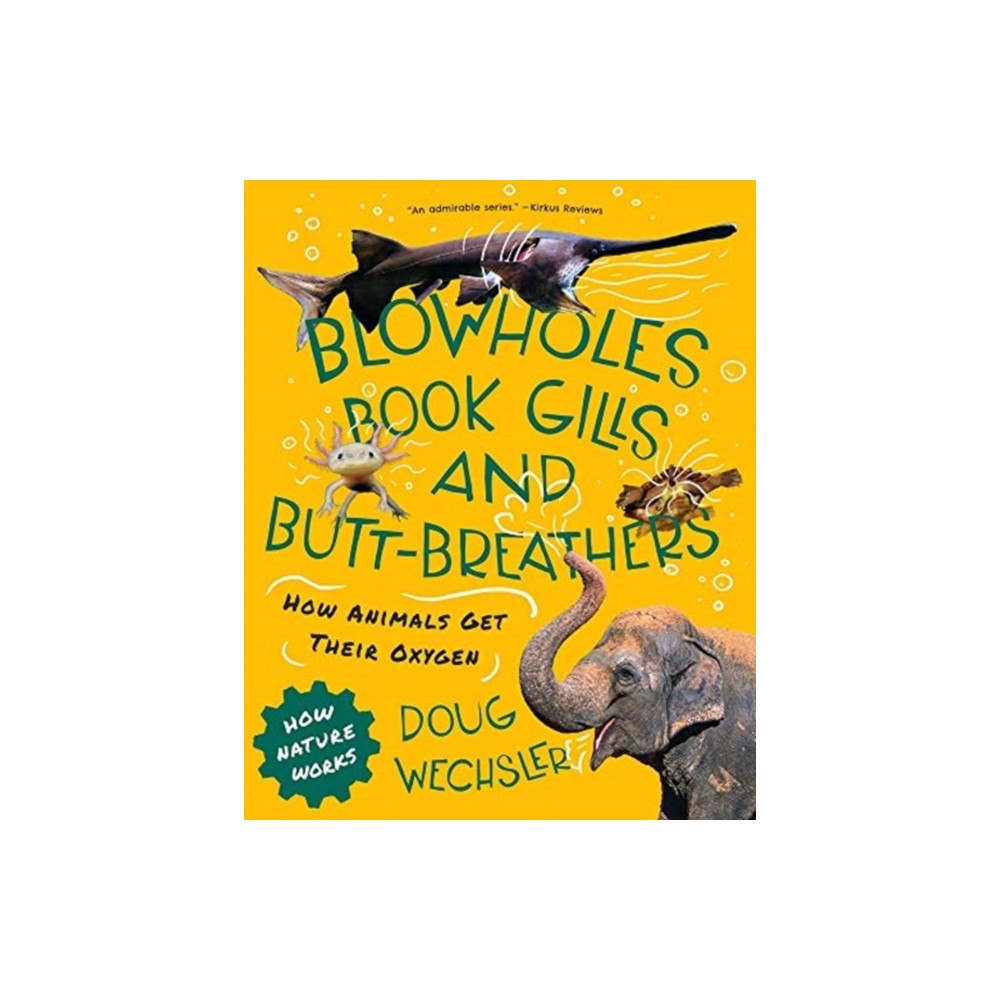 Tilbury House,U.S. Blowholes, Book Gills, and Butt-Breathers (inbunden, eng)