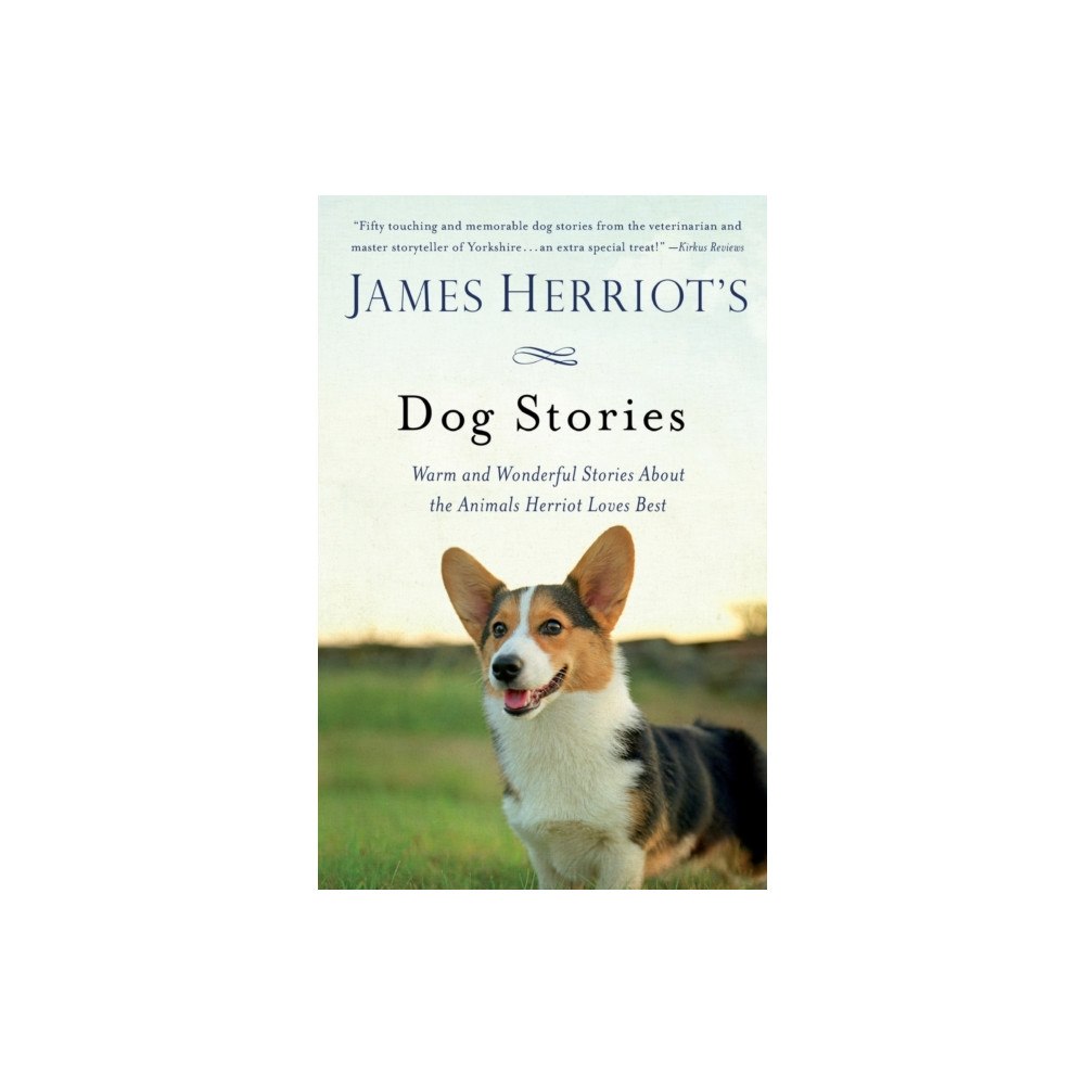 St Martins Pr James Herriot's Dog Stories (häftad, eng)