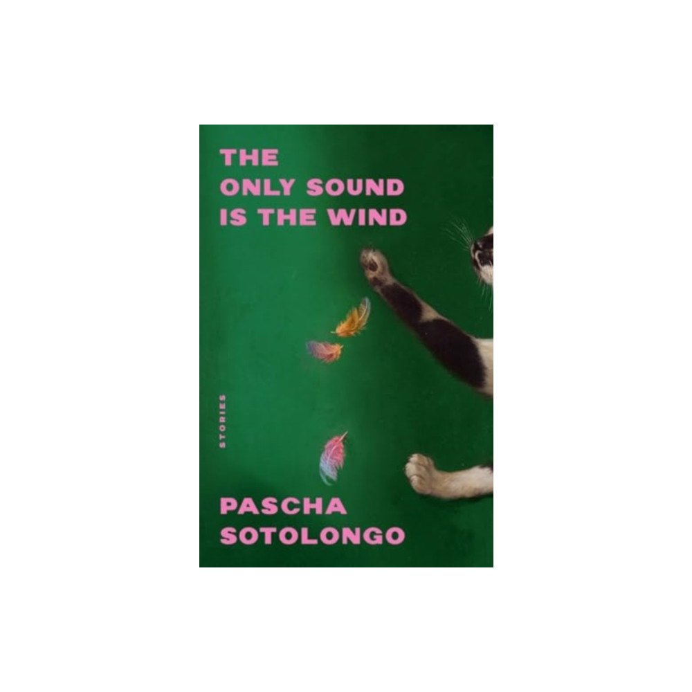 WW Norton & Co The Only Sound Is the Wind (häftad, eng)
