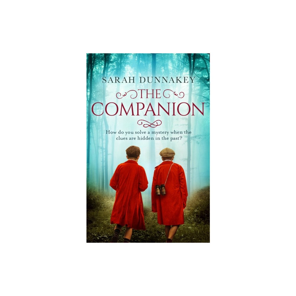 Orion Publishing Co The Companion (häftad, eng)