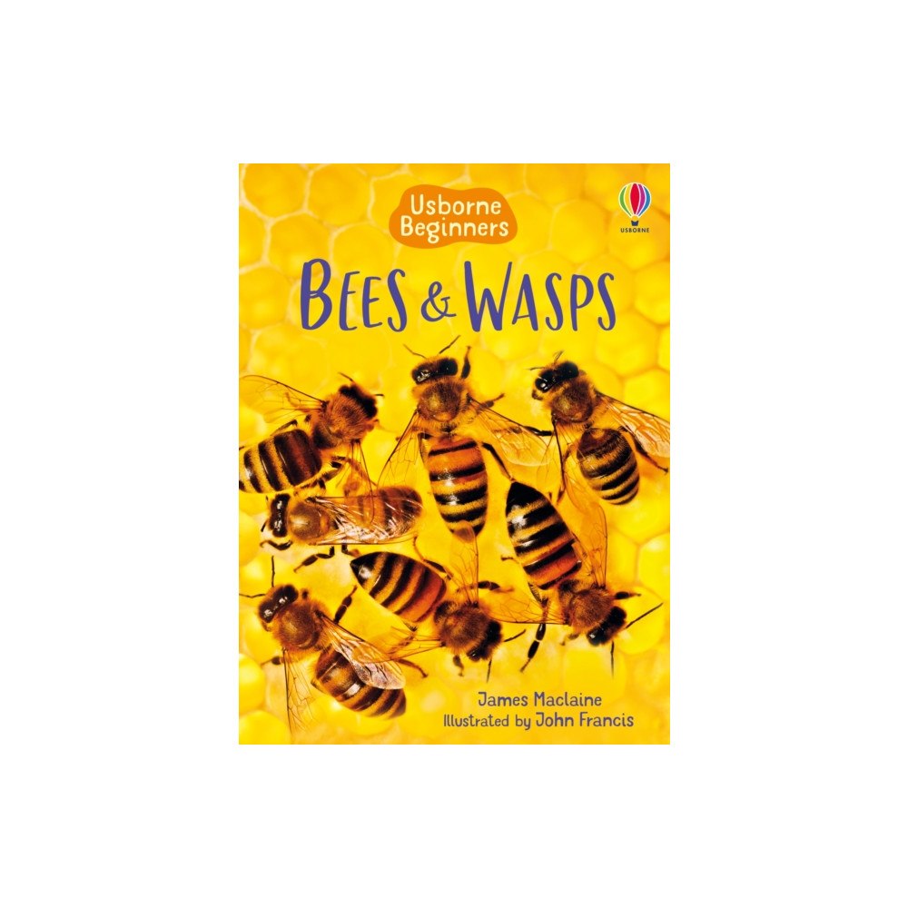 Usborne Publishing Ltd Bees and Wasps (inbunden, eng)