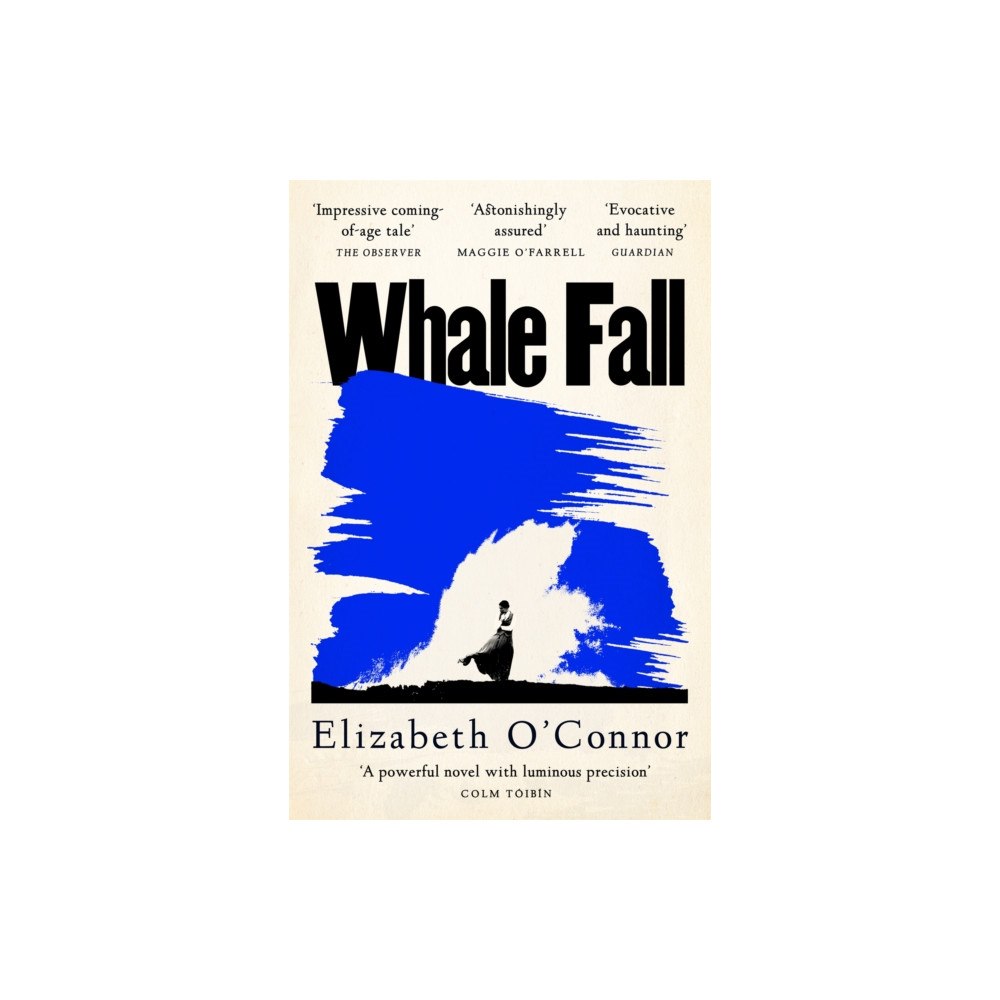 Pan Macmillan Whale Fall (häftad, eng)