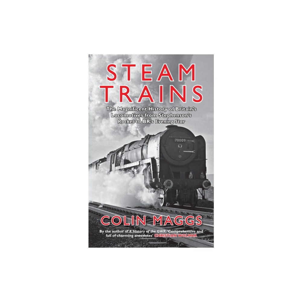 Amberley Publishing Steam Trains (häftad, eng)