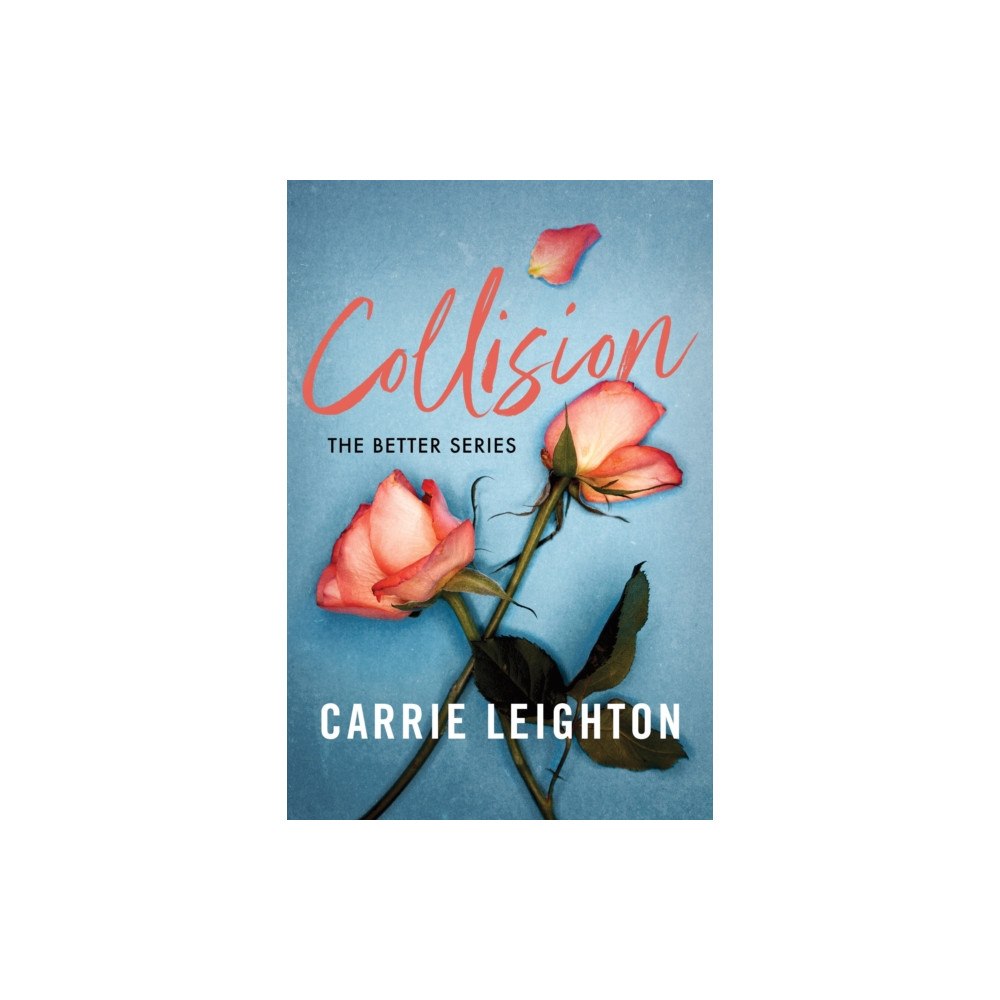 Sourcebooks, Inc Collision (häftad, eng)