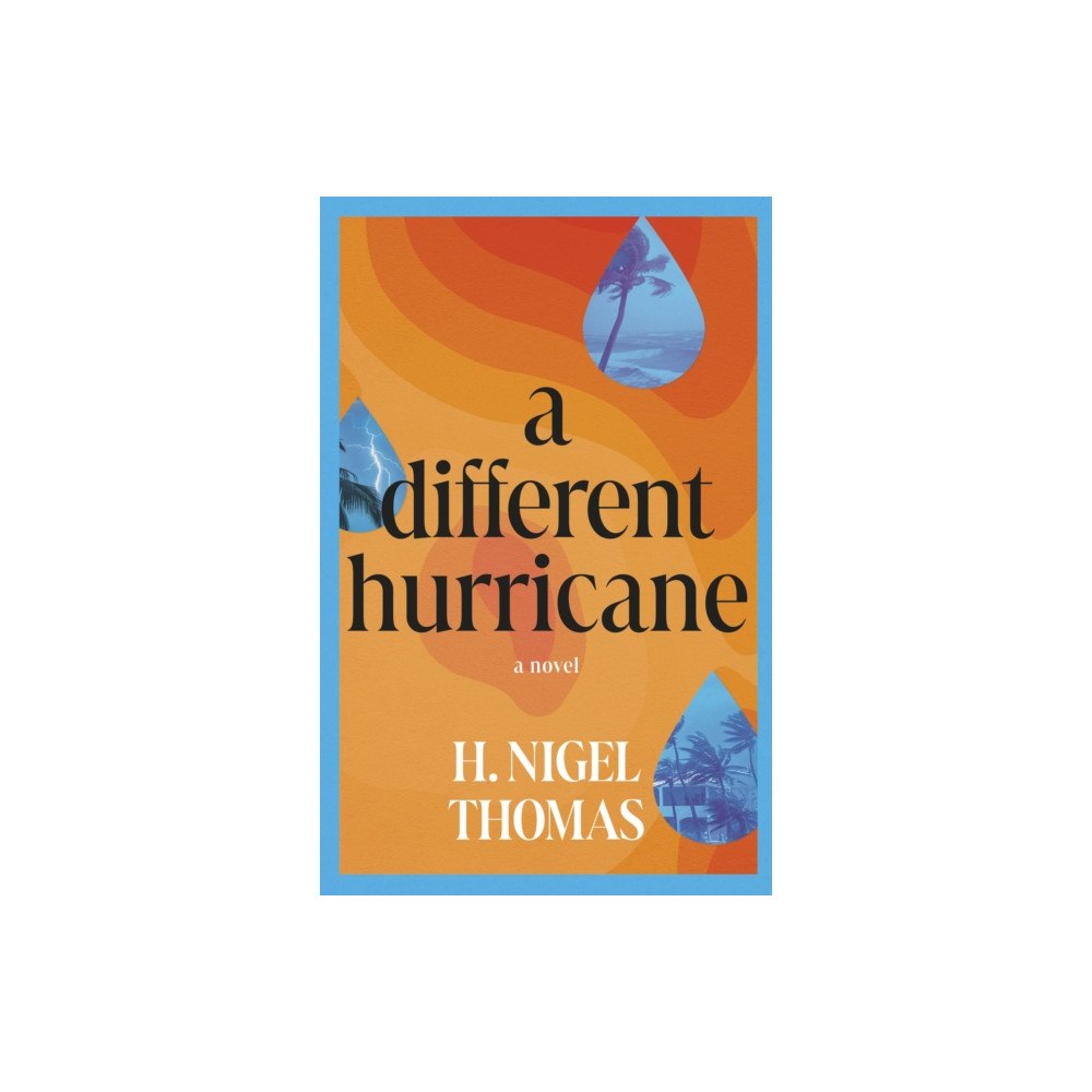 The Dundurn Group A Different Hurricane (häftad, eng)