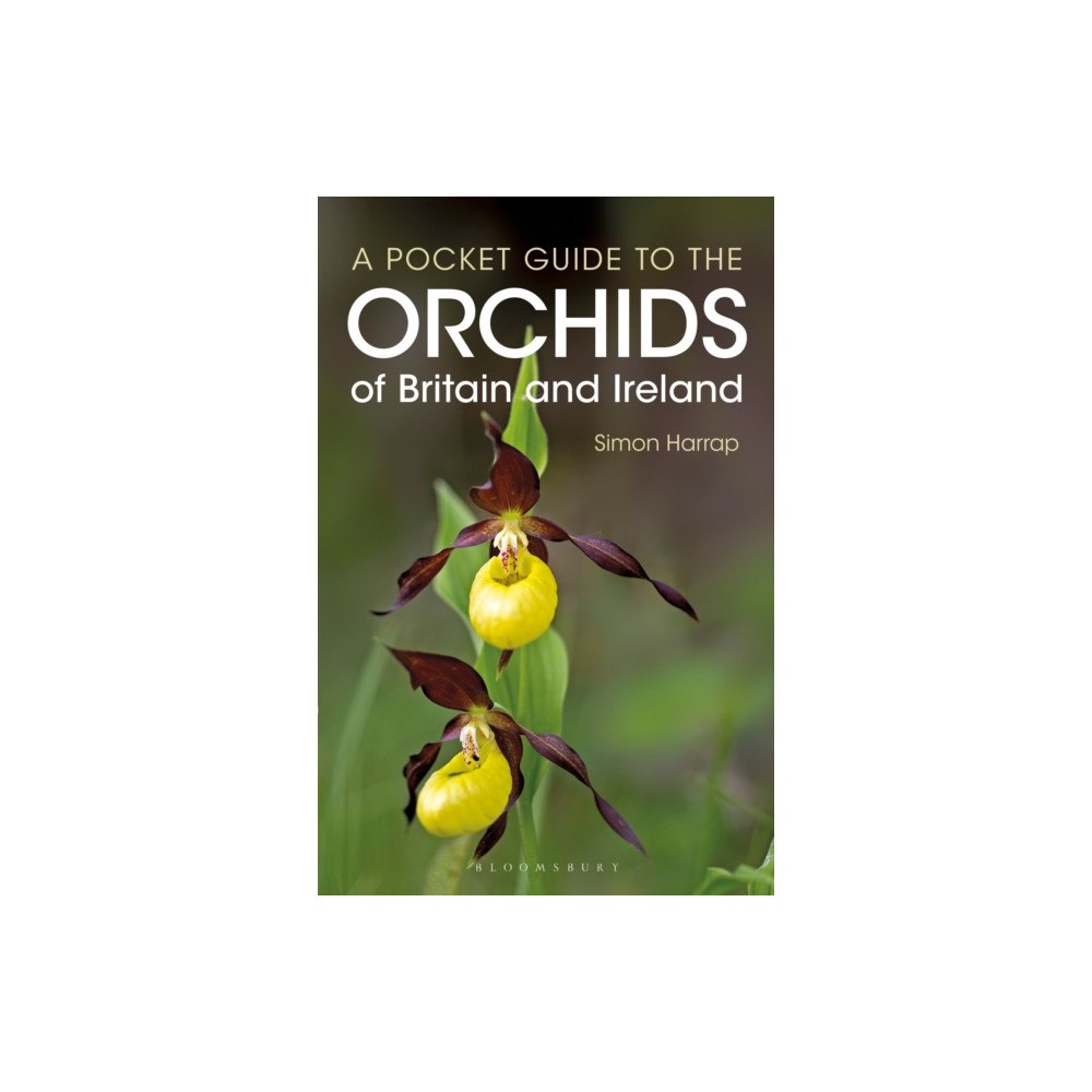 Bloomsbury Publishing PLC Pocket Guide to the Orchids of Britain and Ireland (häftad, eng)