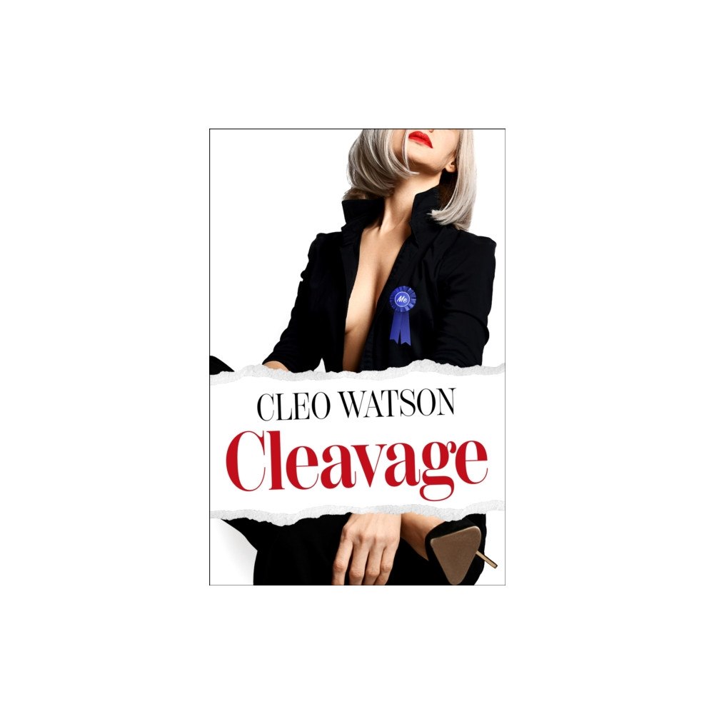 Little, Brown Book Group Cleavage (häftad, eng)