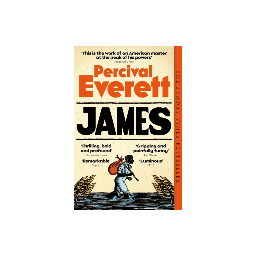 Pan Macmillan James (häftad, eng)
