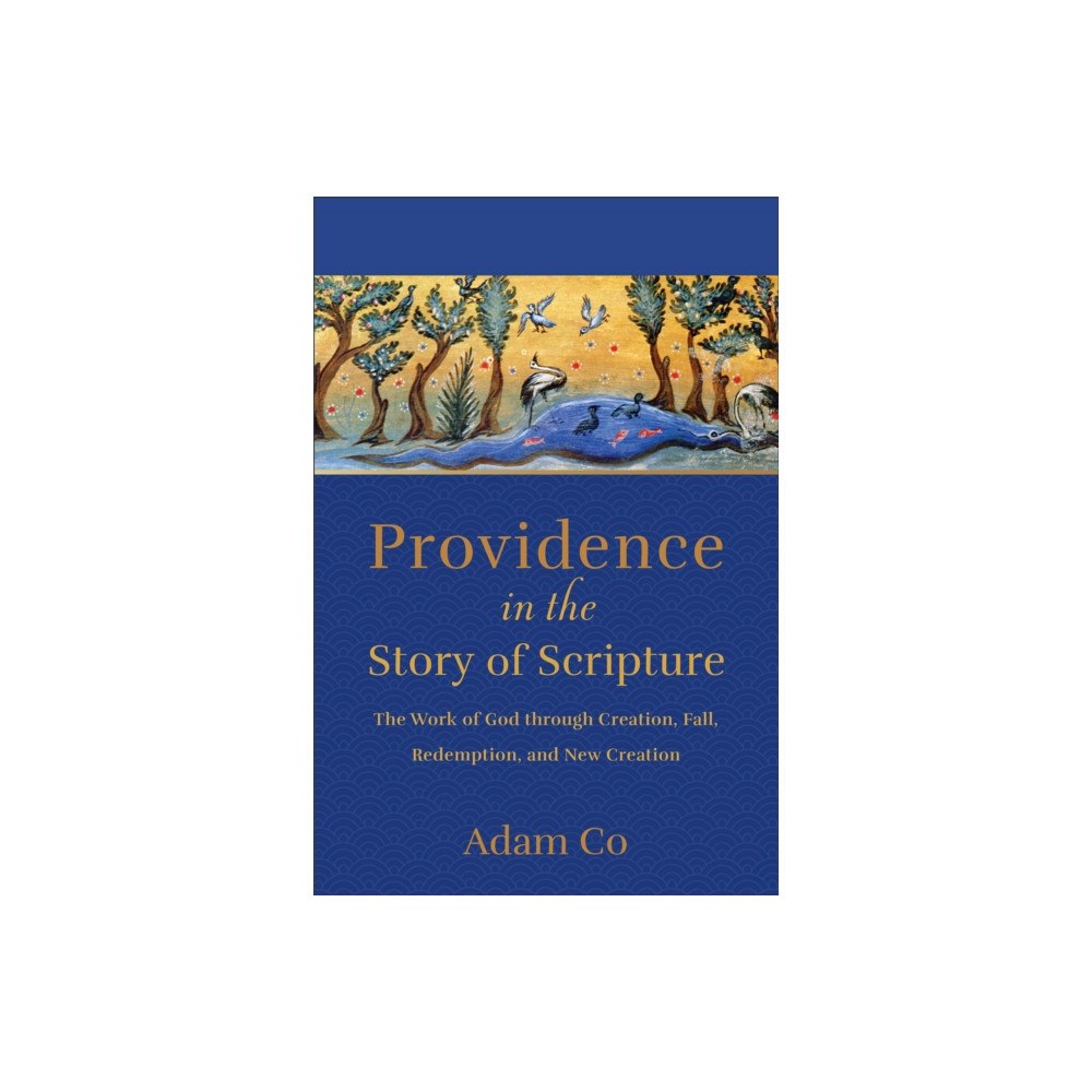 Baker publishing group Providence in the Story of Scripture (häftad, eng)