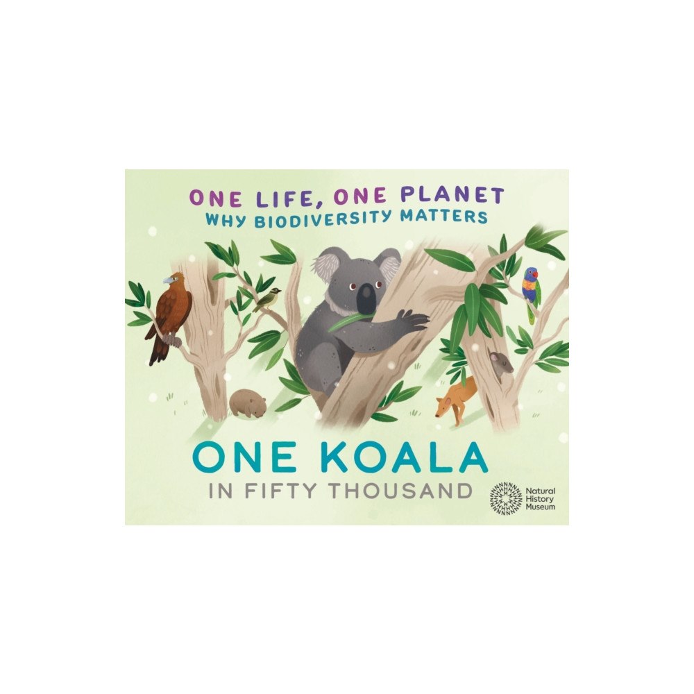Hachette Children's Group One Life, One Planet: One Koala in Fifty Thousand (häftad, eng)