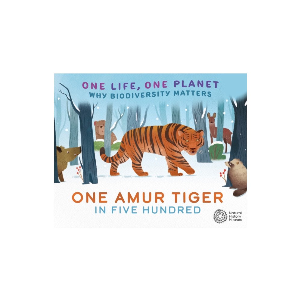 Hachette Children's Group One Life, One Planet: One Amur Tiger in Five Hundred (häftad, eng)