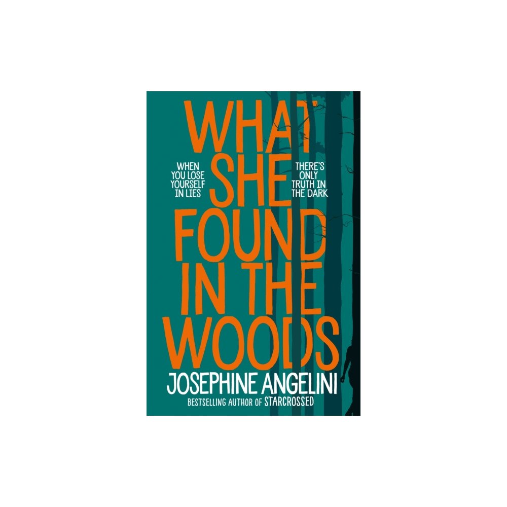 Pan Macmillan What She Found in the Woods (häftad, eng)