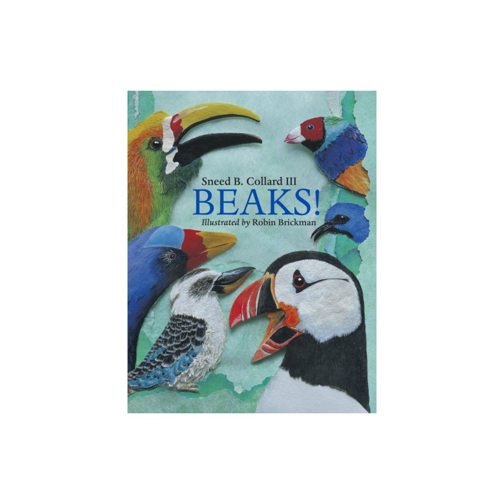 Charlesbridge Publishing,U.S. Beaks! (häftad, eng)