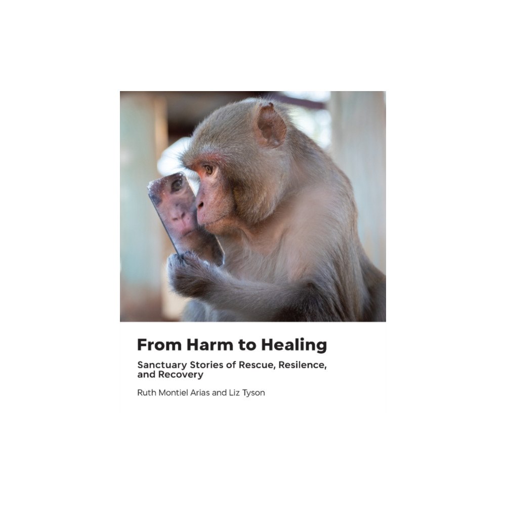 Lantern Books,US From Harm to Healing (inbunden, eng)