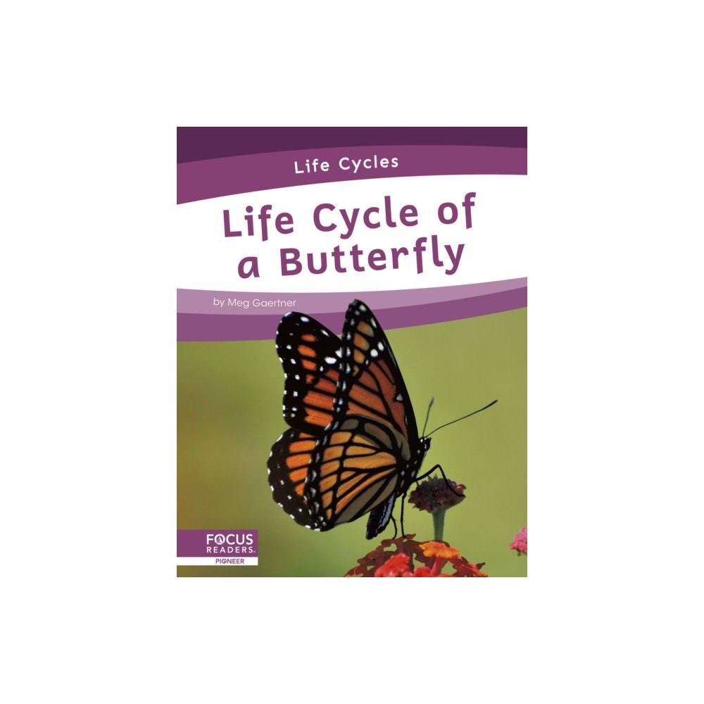 North Star Editions Life Cycle of a Butterfly (häftad, eng)