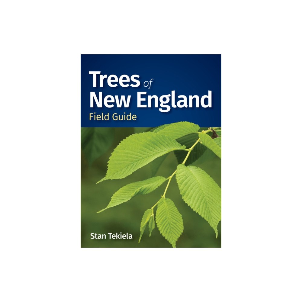 Adventure Publications, Incorporated Trees of New England Field Guide (häftad, eng)