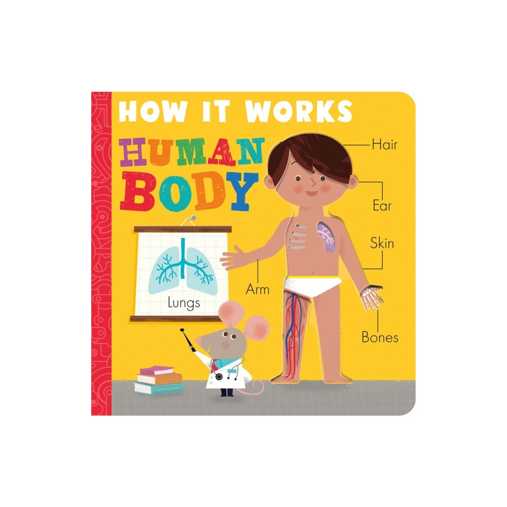 Random House Distribution childrens Human Body (bok, board book, eng)