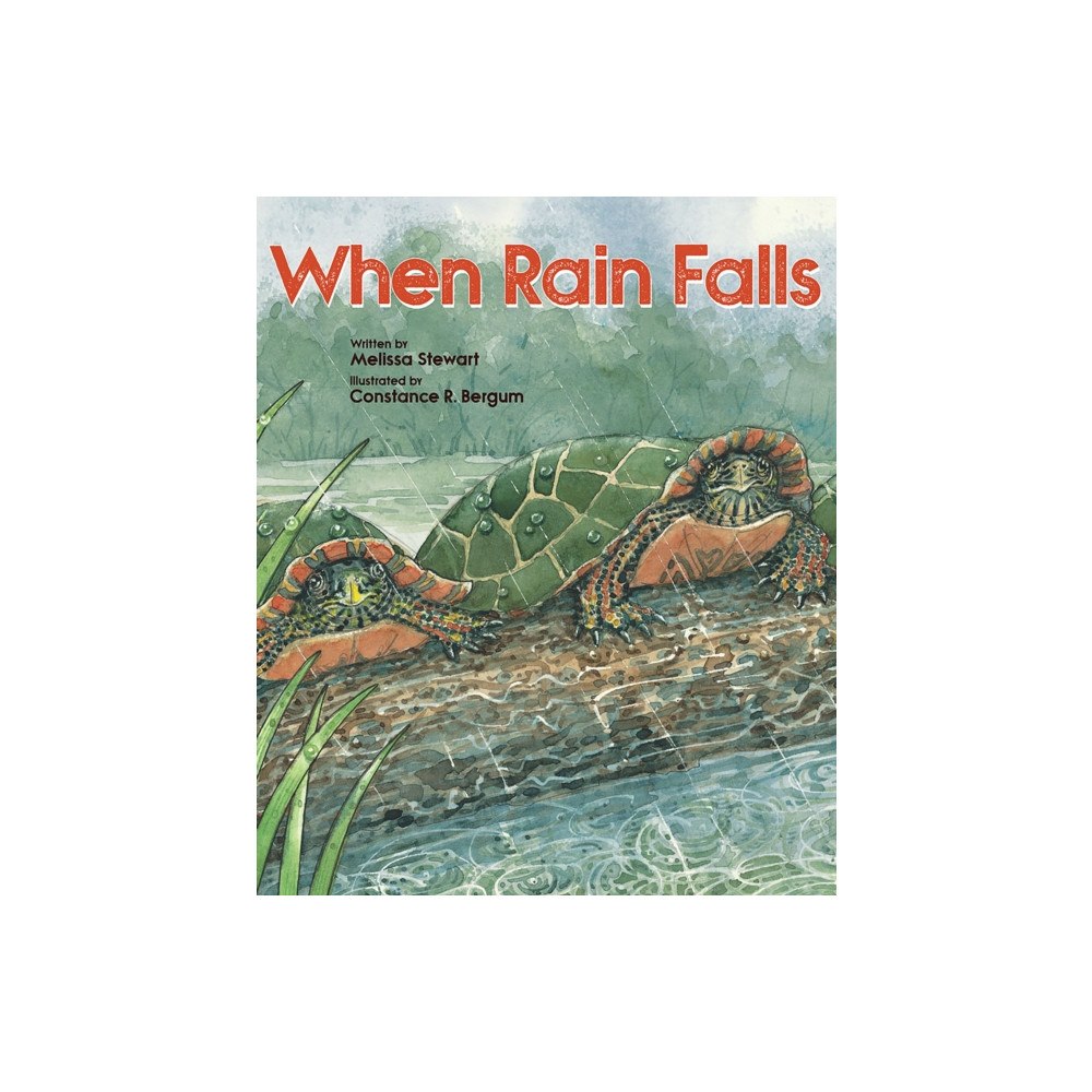Candlewick Pr When Rain Falls (häftad, eng)