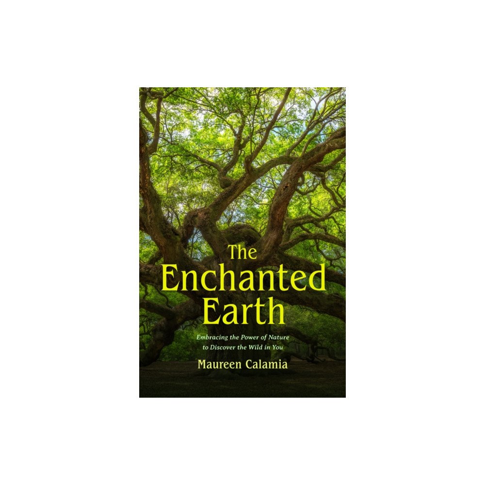 Mango Media The Enchanted Earth (häftad, eng)
