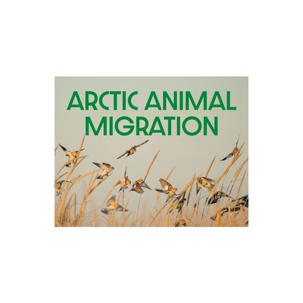 Inhabit Education Books Inc. Arctic Animal Migration (häftad, eng)