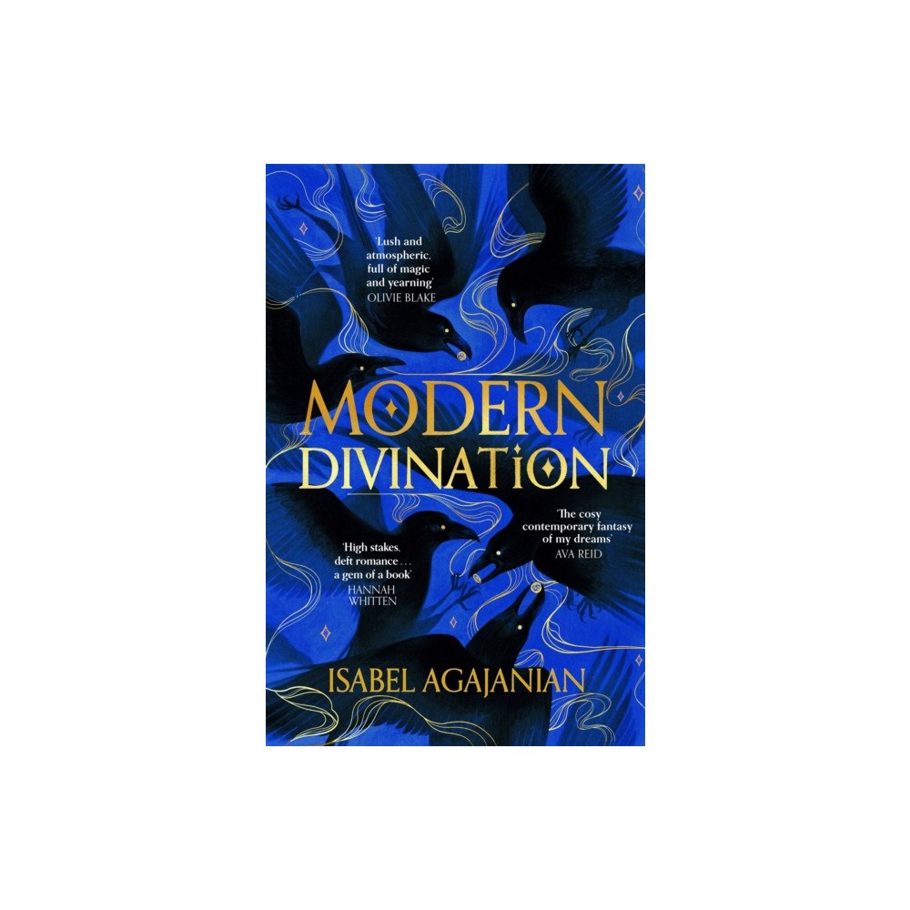 Pan Macmillan Modern Divination (häftad, eng)