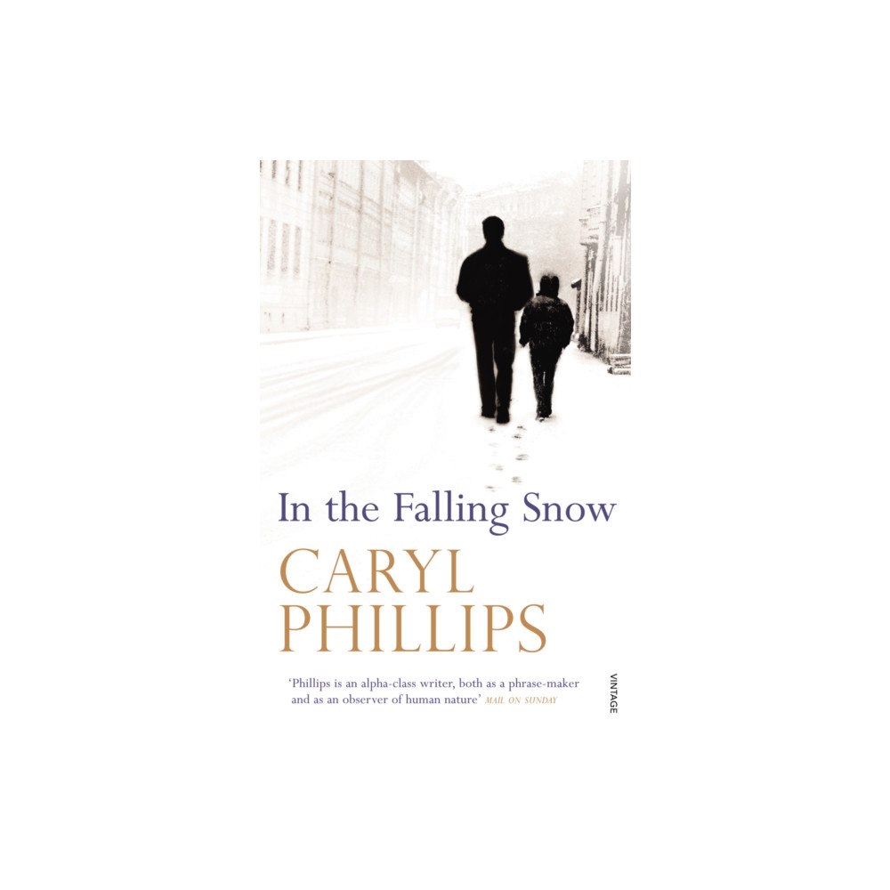 Vintage Publishing In the Falling Snow (häftad, eng)
