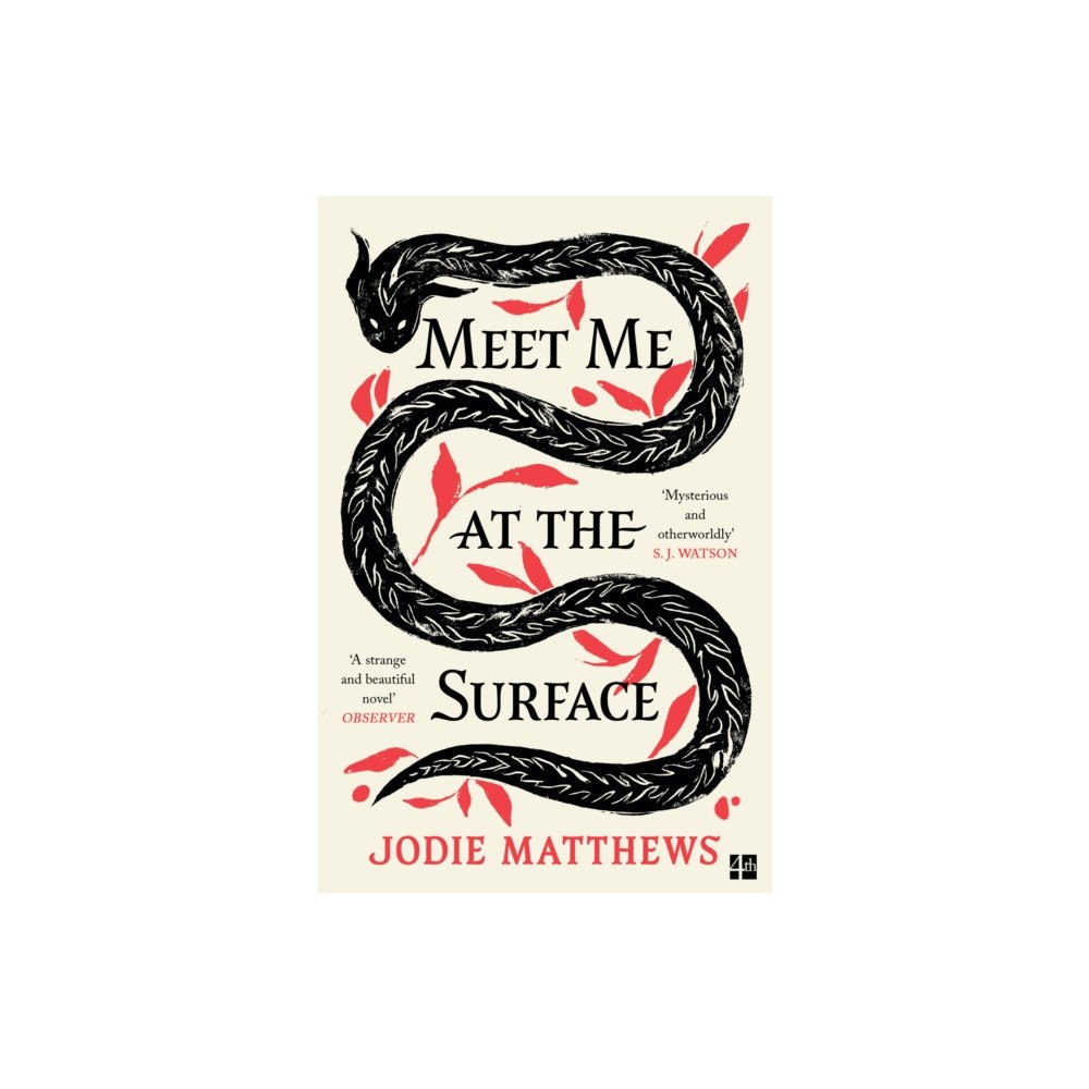 HarperCollins Publishers Meet Me at the Surface (häftad, eng)