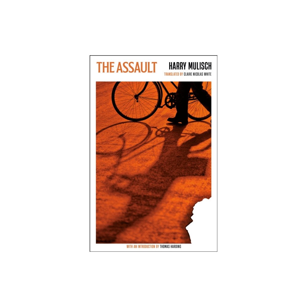 Profile Books Ltd The Assault (häftad, eng)