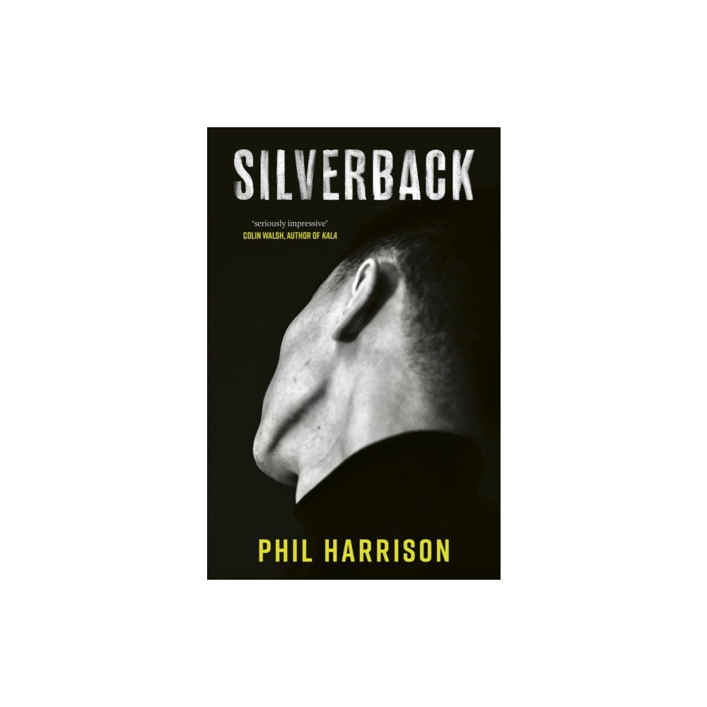 Little, Brown Book Group Silverback (häftad, eng)