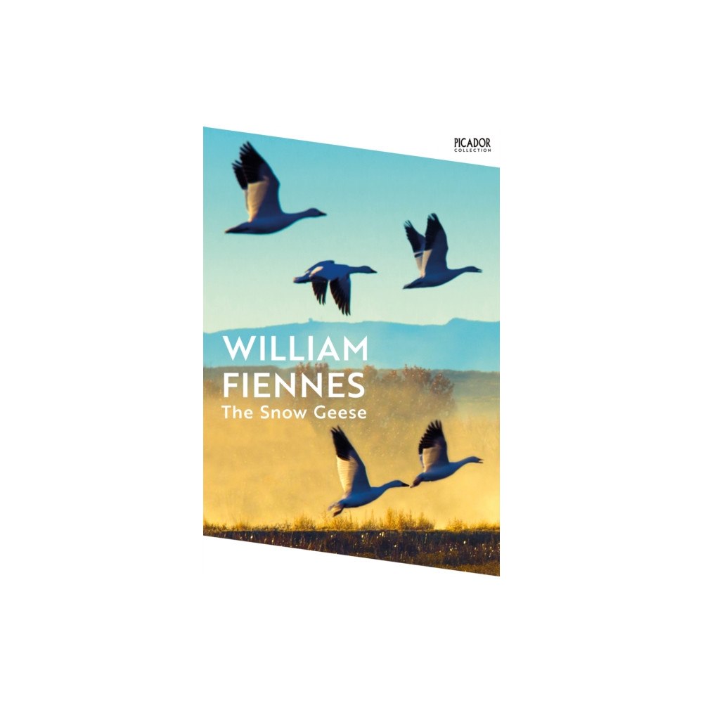 Pan Macmillan The Snow Geese (häftad, eng)