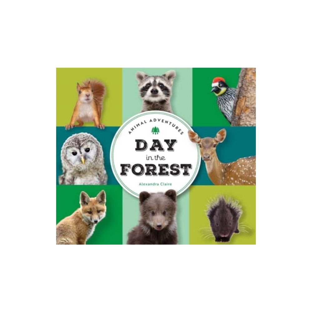 The Collective Book Studio Animal Adventures: Day in the Forest (bok, board book, eng)