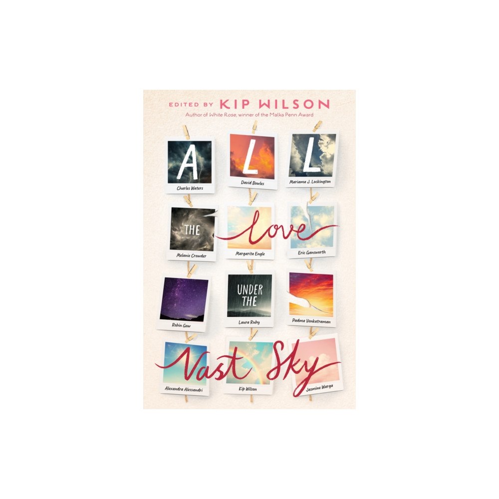 Nancy Paulsen Books All the Love Under the Vast Sky (inbunden, eng)