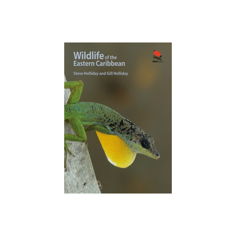 Princeton University Press Wildlife of the Eastern Caribbean (häftad, eng)