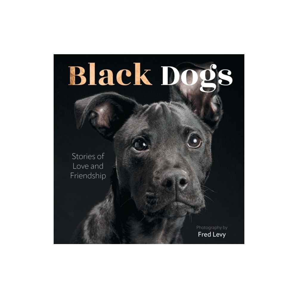 Quarto Publishing Group USA Inc Black Dogs (inbunden, eng)