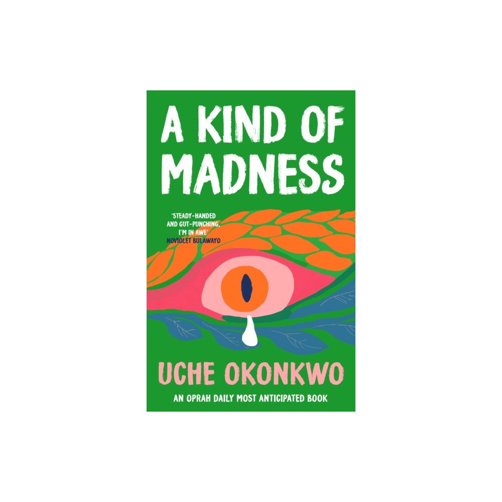 Verve Books A Kind of Madness (häftad, eng)
