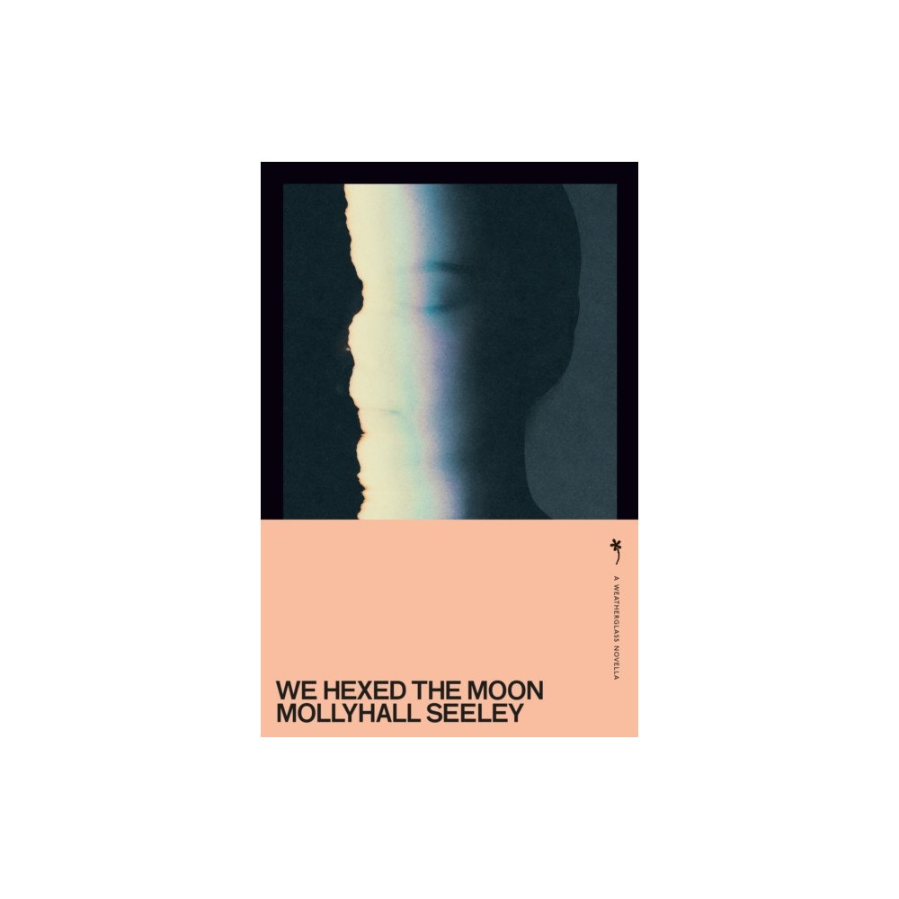 Weatherglass Books We Hexed the Moon (häftad, eng)