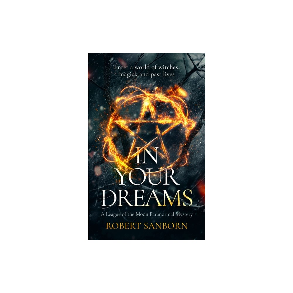 Vinci Books In Your Dreams (häftad, eng)