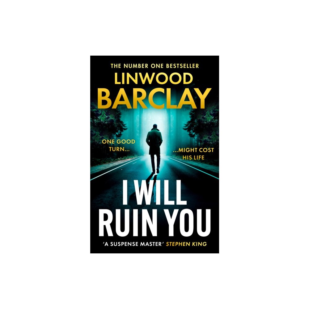 HarperCollins Publishers I Will Ruin You (häftad, eng)