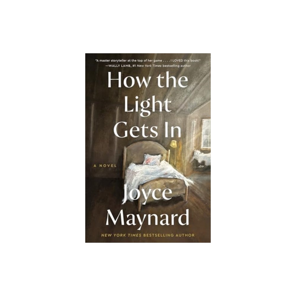Harpercollins publishers inc How the Light Gets In (häftad, eng)