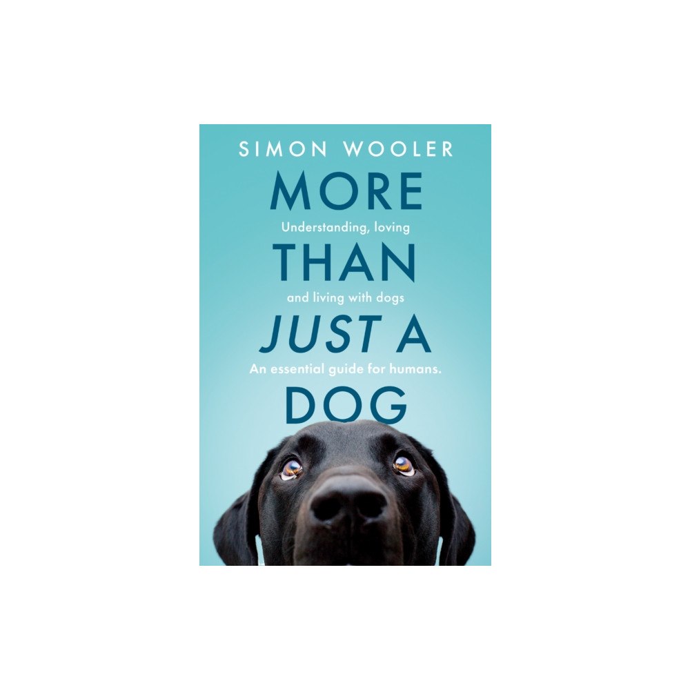 HarperCollins Publishers More Than Just a Dog (häftad, eng)