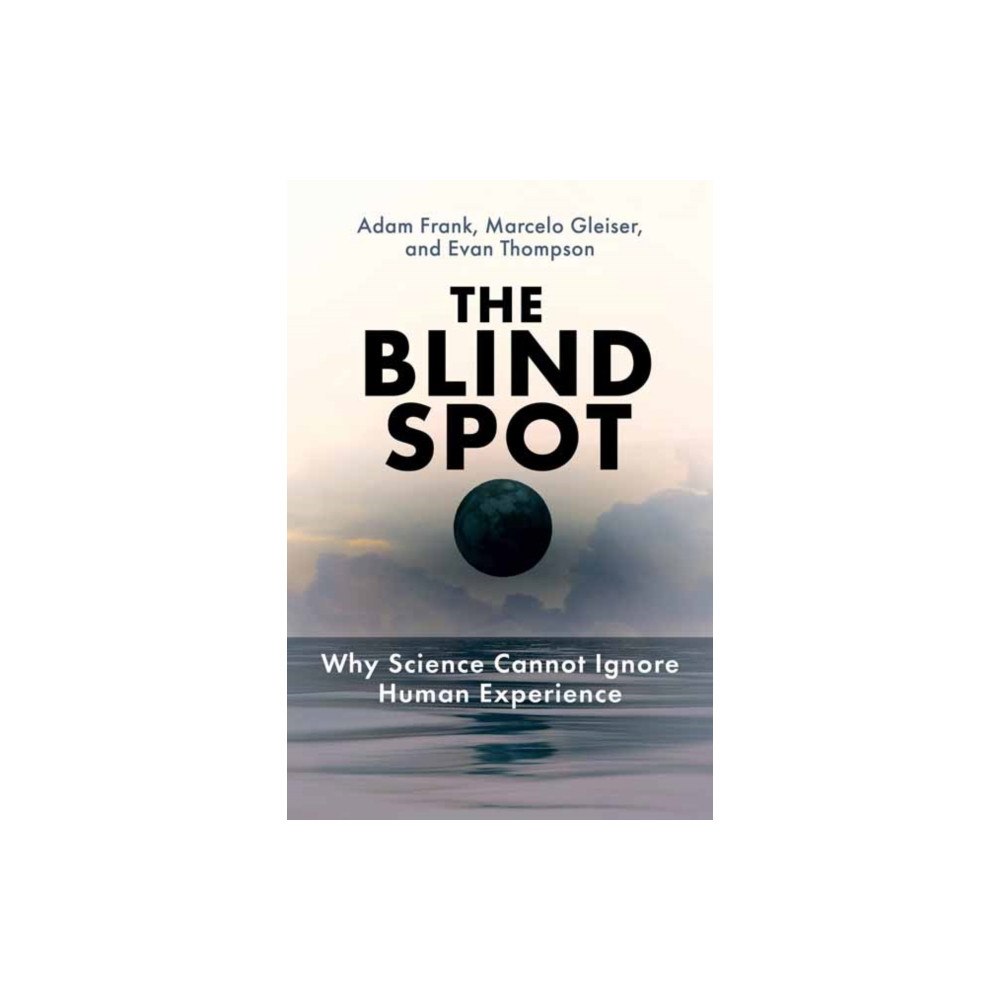 Mit press ltd The Blind Spot (häftad, eng)