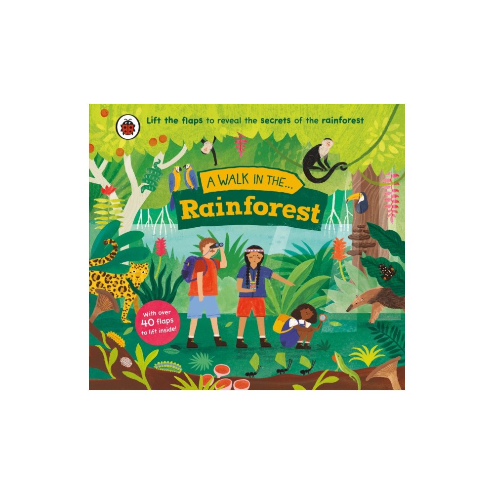 Penguin Random House Children's UK A Walk in the Rainforest (bok, board book, eng)