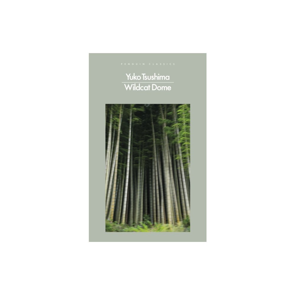 Penguin books ltd Wildcat Dome (häftad, eng)