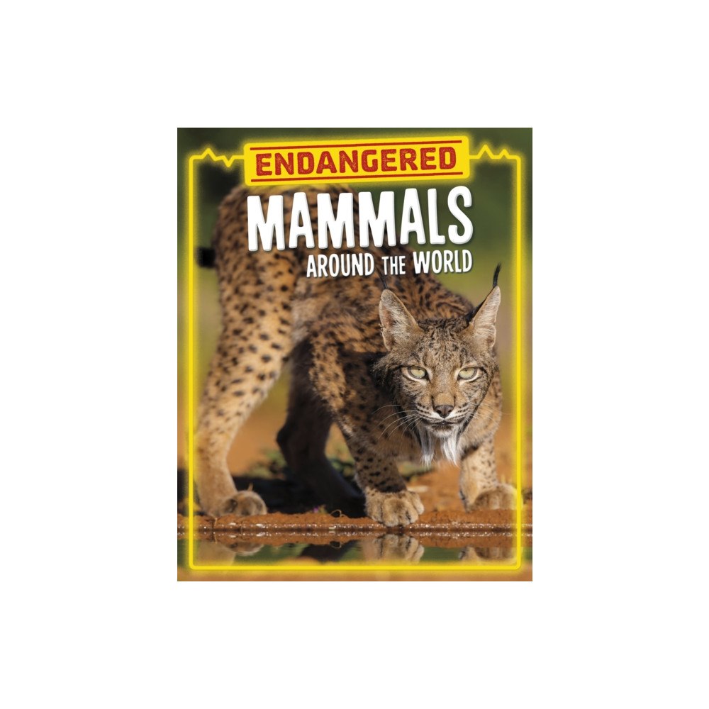 Capstone Global Library Ltd Endangered Mammals Around the World (inbunden, eng)
