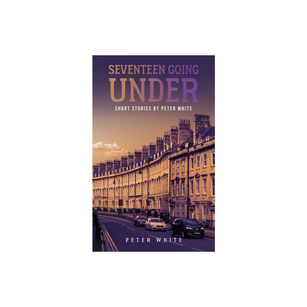 Austin Macauley Publishers Seventeen Going Under (häftad, eng)