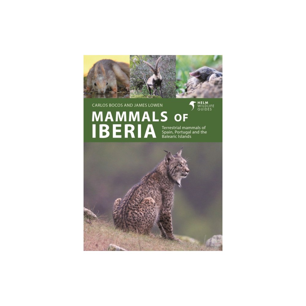 Bloomsbury Publishing PLC Mammals of Iberia (häftad, eng)