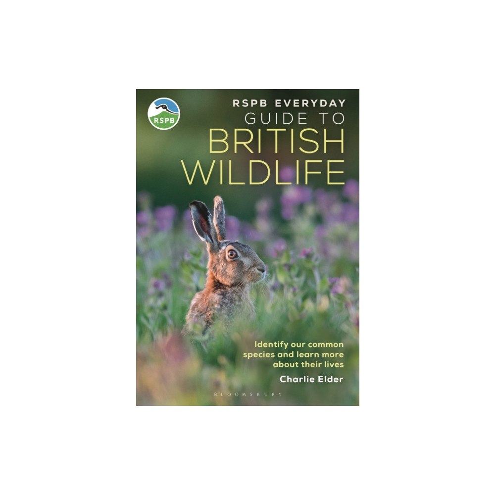 Bloomsbury Publishing PLC RSPB Everyday Guide to British Wildlife (häftad, eng)